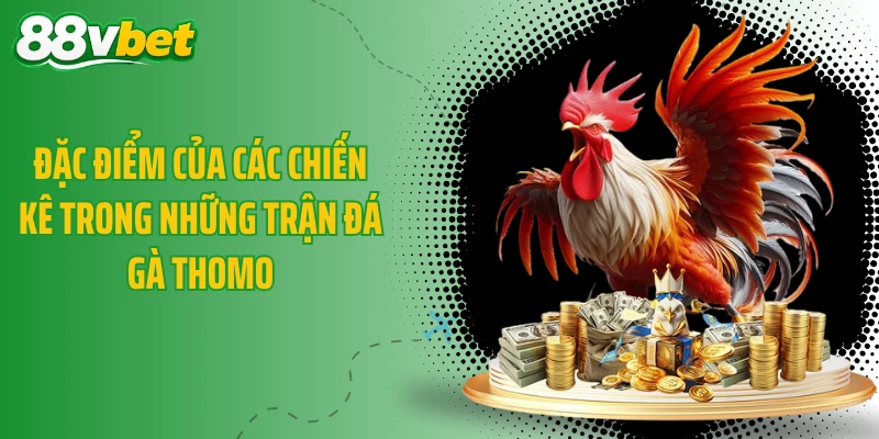 Đặc điểm của các chiến kê trong những trận đá gà Thomo