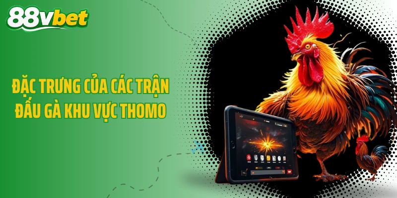 Đặc trưng của các trận đấu gà khu vực Thomo