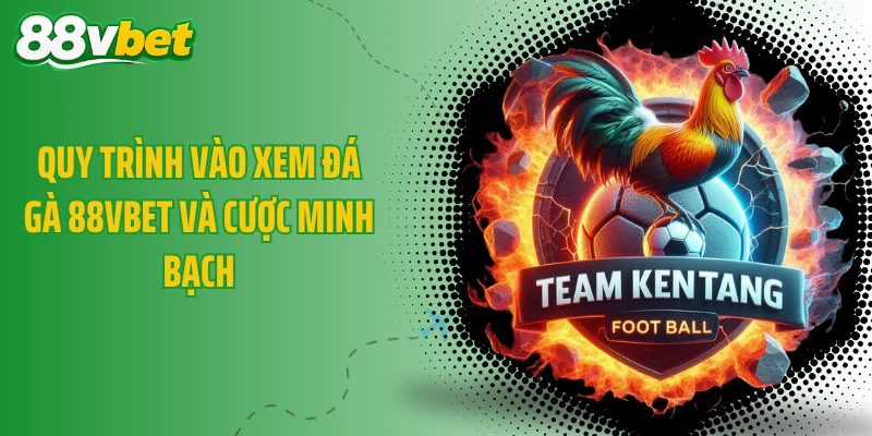 Quy trình vào xem đá gà 88VBET và cược minh bạch